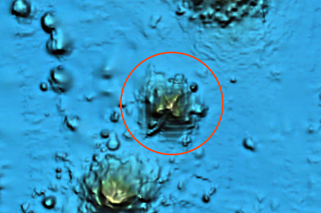 Source image from UFO Sightings Daily showing the Seabed 2030 ocean-floor feature under review
