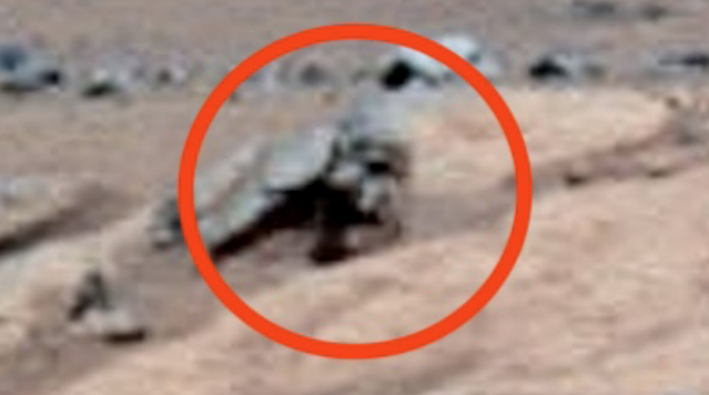 Annotated Mars rover image highlighted by UFO Sightings Daily