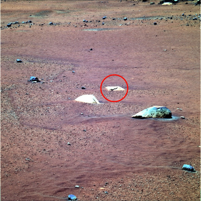 UFO Sightings Daily crop used for the Mars snake-shaped-object source lead